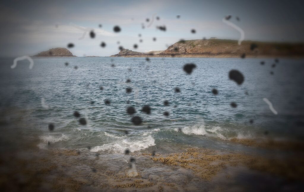 A beach with water and distant rocks is shown as black spots and floaters shift across the scene.