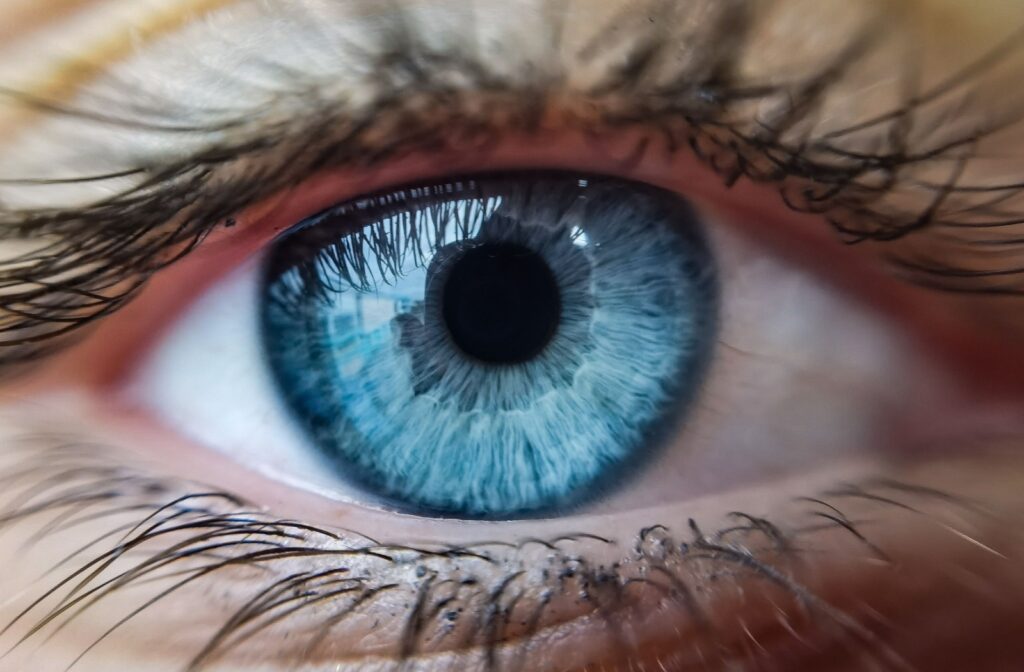 A close up of a healthy eye